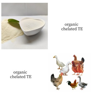 สารประกอบกรดอะมิโนผสมธาตุรองรับการดูดซึมชนิดเชลเลตสำหรับอาหารสัตว์ (ไกลซีน, กรดกลูตามิก, ไลซีน) - Product Image 1