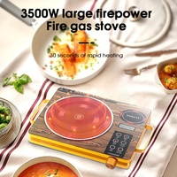 Marque Premium 2500W Cuisinière à induction infrarouge Durable En acier inoxydable 220V Cuisinière électrique Utilisation de la voiture en plein air Hotpot Caractéristique