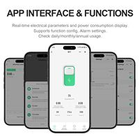 Interruptor Automático Inteligente WiFi 63A 1P+N con Medición de KWh, Relé Temporizador, Monitoreo de Energía y Riel DIN Azul para Uso Doméstico