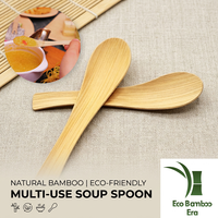 Cuillères à déguster en bambou biodégradable certifiées ISO, approuvées CE 1935/2004, cuillères à gelato écologiques