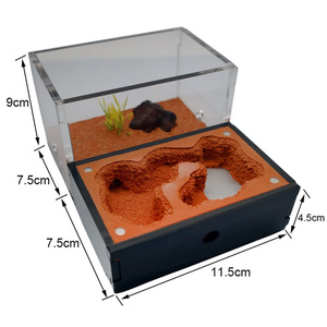 Granja de hormigas acrílicas DIY nido hormiguero Castillo caja de insectos para observar hábitat de hormigas vivas para niños y niñas - Product Image 4