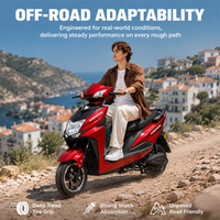 Sıcak SHANG LING Şehir E-Bisikleti 2 Kişilik Yetişkin Elektrikli Scooter Çift Amortisörlü Ön Arka Disk Fren Özel Batarya Guangzhou