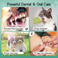 Poudre d'algues pour chiens et chats OEM, absorption rapide, soutien immunitaire, santé de la peau et du pelage