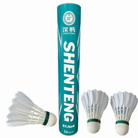 Raquette de badminton NO 6Natural Straight Feather, légère, stable, avec d'excellentes performances de vol, adaptée aux joueurs de club