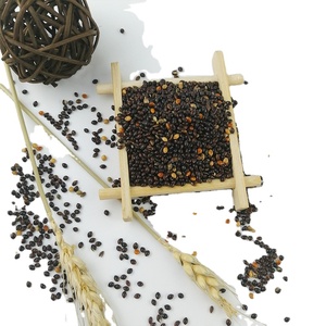 Graines <span class=keywords><strong>de</strong></span> Millet Noir Non Décortiquées (Nouvelle Récolte) pour Oiseaux – Vente en Gros - Product Image 6
