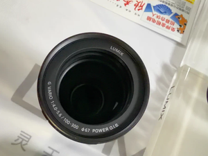 Objectif Panasonic Lumix G Vario 100-300mm f/4-5.6 II POWER O.I.S. Objectif (HFSA100300E) - Product Image 6