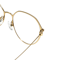 Monturas de Gafas Modernas Brillantes de Titanio Bicolor OEM ODM IP, Monturas Ópticas, Monturas de Lentes, Gafas Metálicas de Diseño de Tendencia