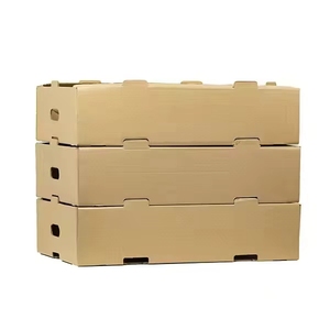 Tùy chỉnh A4 carton sóng sáp hộp thư trái cây và rau bao bì-Giao hàng trái cây hộp carton nhà sản xuất - Product Image 5