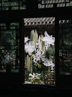 Fleur géante en dentelle G-009 pour cérémonie de mariage en plein air et décoration de fête romantique