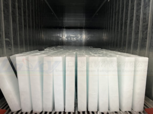 Hot bán 2025 <span class=keywords><strong>Ice</strong></span> Block máy làm 20ton/24hr cho Nam Phi thị trường - Product Image 5