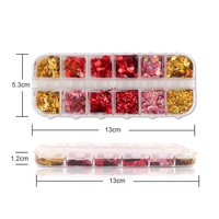 Paso Sico French Kit de Nail Art 3D Multi-Designs, Formes Irrégulières Feuille d'Érable, Couleurs Chatoyantes, Paillettes Créatives DIY pour Manucure