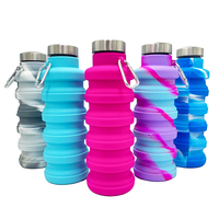 Bouteille d'eau pliable de voyage en silicone de qualité alimentaire, petite taille, écologique, 250 ml, pour le sport, le camping, rechargeable