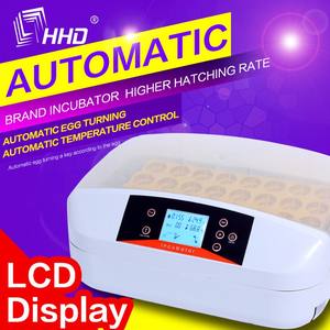 HHD Pollo/Pato/Ganso/Aves de Corral Incubadora de huevos completamente automática Bandeja de huevos con estriado - Product Image 2