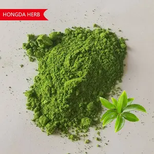HONGDA vente en gros échantillon gratuit biologique 100% thé vert pur cérémonie Matcha poudre