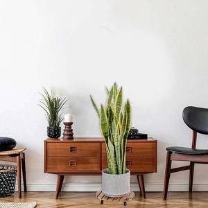 Outdoor Rustic Color Plant Caddy 12in Rolling Wooden Plant <strong>Stand</strong> with Wheels Wood <strong>Flower</strong> Cart Plant Display <strong>Pedestal</strong> - Product Image 4