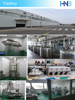 Bubuk Moringa HNB Factory 99% Kualitas Terjamin Ekstrak Daun Moringa untuk Bahan Baku Suplemen