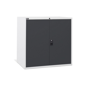 D53A100C01005 mobile ufficio basso con 2 porte W1020 X D726 X H1000 mm per palestra metallo File di stoccaggio - Product Image 1