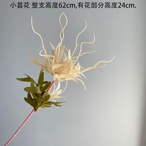 Xunpu 2 teste <span class=keywords><strong>di</strong></span> barba <span class=keywords><strong>di</strong></span> drago <span class=keywords><strong>orchidea</strong></span> artificiale fatta a mano singolo fiore <span class=keywords><strong>di</strong></span> plastica per Natale fai da te e ritorno all'arredamento della scuola <span class=keywords><strong>di</strong></span> Xunpu - Product Image 5