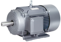 Moteur électrique asynchrone triphasé AC INNOMOTICS SIEMENS IE3 55KW-315KW 750RPM-3000RPM 220-690V 50/60Hz