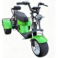 Motocyclette électrique à trois roues certifiée CE, directement de l'usine, avec panier arrière, idéale pour les trajets quotidiens et les loisirs.