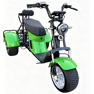 Motocicleta eléctrica de tres ruedas con certificación CE, directa de fábrica, con cesta trasera, ideal para desplazamientos y ocio. - Product Image 2