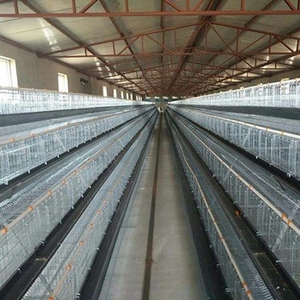 10000 kuşlar pil-elektrikli tavuk kümesi a-tipi tavuk kafesi tavuk çiftliği için tam otomatik su temini sistemi dayanıklı çelik - Product Image 4