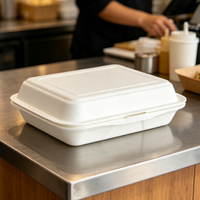 Boîte à lunch jetable en bagasse de 16 pouces avec couvercle, récipient alimentaire en canne à sucre biodégradable et micro-ondable pour restaurant et pique-nique