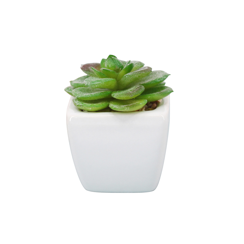 PA02-2   พีเอ02-2