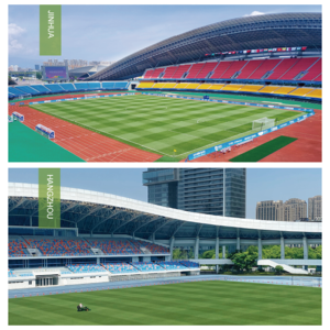 <span class=keywords><strong>Erba</strong></span> Sintetica Naturale Ecologica ad Alta Densità, Durevole, Morbida e a Rapida Germinazione per Campi Sportivi Indoor/Esterni - Product Image 1