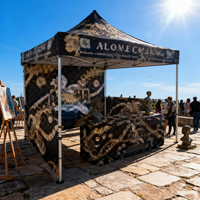 Carpas Plegables para Eventos al Aire Libre, Carpas Grandes Personalizadas para Eventos, Gazebo Plegable para Exteriores 3x3, Otros