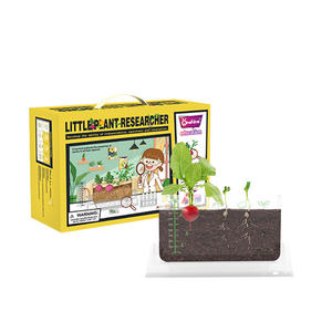 Onshine Little Plant Researcher, boîte de culture transparente pour la croissance des racines, kit éducatif DIY pour enfants de 4 à 6 ans - Product Image 1