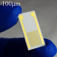 100um 20*10mm sustrato cerámico interdigital electrodo gas humedad biosensor chip