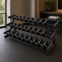 Rak Dumbbell Komersial Dua Tingkat untuk 20 Pasang, Penyangga Penyimpanan Beban Logam untuk Latihan Kebugaran di Dalam Ruangan