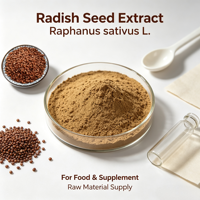 Offre Spéciale : Extrait Naturel de Graines de Radis 20:1, Poudre Fine d'Extrait de Semen Raphani pour Boissons Solides et Traitement Cosmétique