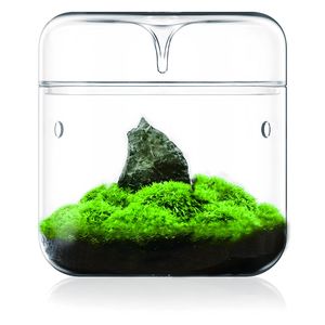 Vườn chậu trồng wabi kusa lọ kích thước khác nhau Terrarium <span class=keywords><strong>container</strong></span> cho các nhà máy lọ thủy tinh có nắp đậy - Product Image 6