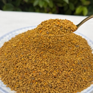 Polen de Abeja de Trigo Sarraceno al por Mayor - Grado Alimenticio, Suministro a Granel a Precio Competitivo, Ideal para Alimentos Saludables - Product Image 2