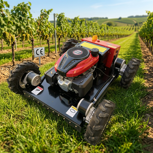 Cortadora de Césped Pequeña de 9 HP con Tracción en las Cuatro Ruedas y Ancho de Corte de 550 Milímetros, Ideal para Recortar Césped en Granjas - Product Image 1