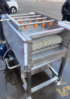 Laveuse de canne à sucre en acier inoxydable / Machine automatique de nettoyage et de pelage de canne à sucre pour usine de jus