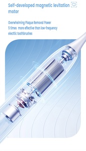 Chất Lượng Cao Tự Phát Triển Động Cơ Làm Sạch Nhanh Chóng <span class=keywords><strong>180</strong></span> Ngày Tuổi thọ Pin Xách Tay Bàn Chải Đánh Răng Điện Cho Sau Tập Luyện - Product Image 3