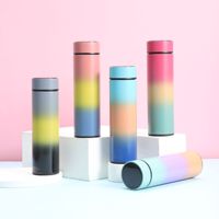 Bouteille d'eau avec affichage de la température LED Bouteille d'eau isolée sous vide à double paroi, bouteille de voyage de sport en acier inoxydable