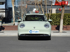 2024 हॉट बिक्री चीनी वाहन और ओरा 4-सीटर नई ऊर्जा वाहन मिनी इलेक्ट्रिक कार ओरा अच्छी बिल्ली - Product Image 4