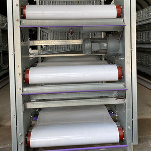 Jaula de Alambre Galvanizado Tipo H para Gallinas Ponedoras, 100000 Unidades, para Avicultura Comercial - Product Image 5