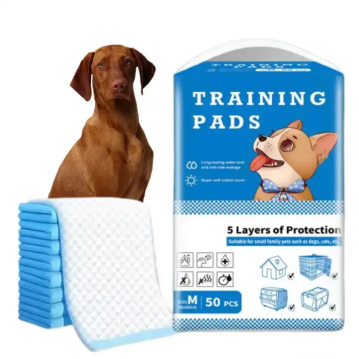 Fábrica Diapering Toilet Training Super Macio Água Absorvente Fralda Cão Descartável Pet Pads Atacado