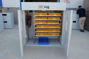 New tự động công nghiệp trứng lồng ấp HT-1056 bán buôn gà trứng nở máy - Product Image 5