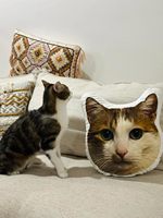 Coussin personnalisé en forme de photo de votre animal de compagnie – Oreiller imprimé par sublimation avec visage de chien ou de chat – Coussin rembourré avec portrait d'animal