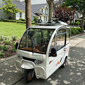 Tricycle électrique <span class=keywords><strong>pour</strong></span> 3 personnes avec différentiel 3 roues moyeu arrière moteur cadre en acier <span class=keywords><strong>pour</strong></span> handicapés - Product Image 1