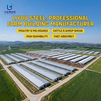 Bâtiment avicole moderne en structure acier préfabriquée Liyou avec certification CE, grande portée, pour ferme avicole