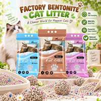 Sacs de litière pour chat en bentonite écologique, imprimés sur mesure, agglomération rapide 3S, sans poussière, pour commandes de marques d'animaux de compagnie