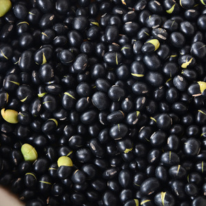 Fagioli Neri Biologici Essiccati Premium all'Ingrosso con Guscio Verde, Fagioli Neri Crudi Non-OGM per Cucinare e Germogliare, Fornitura all'Ingrosso - Product Image 1