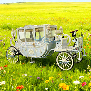 Voiture électrique rétro en acier, type calèche, avec roues en fibre de verre, pour visites en extérieur, parcs et mariages, à vendre - Product Image 6
